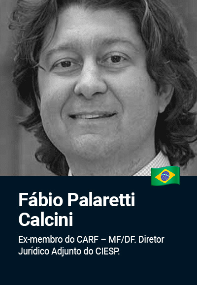 fabio-palaretti-calcini